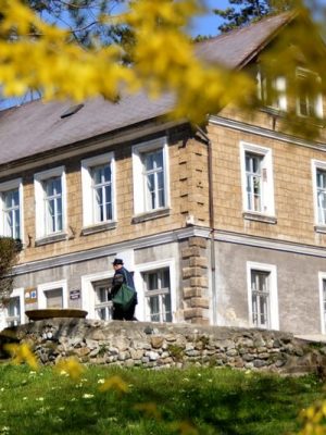 JKP-Cistoca-i-zelenilo-Jajce-ba